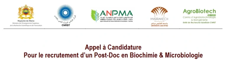 Appel à Candidature pour le recrutement de deux PostDoc